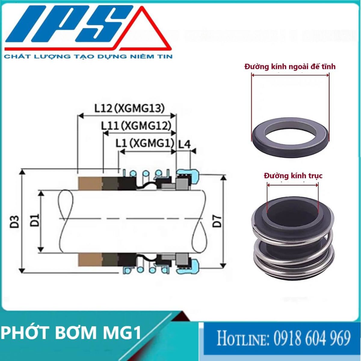 Phớt bơm MG1-5(12).